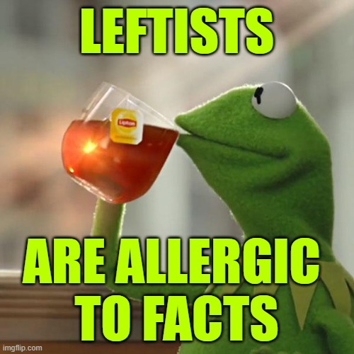But That's None Of My Business Meme | LEFTISTS ARE ALLERGIC 
TO FACTS | image tagged in memes,but that's none of my business,kermit the frog | made w/ Imgflip meme maker