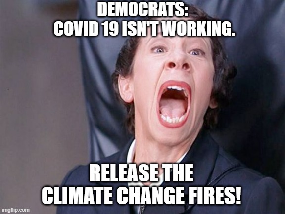 Climate change fires | DEMOCRATS: 
COVID 19 ISN'T WORKING. RELEASE THE CLIMATE CHANGE FIRES! | image tagged in austin powers alarm | made w/ Imgflip meme maker