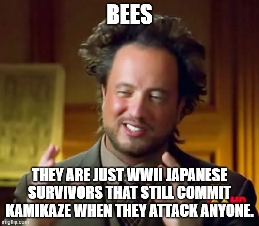 Kamikaze | BEES; THEY ARE JUST WWII JAPANESE SURVIVORS THAT STILL COMMIT KAMIKAZE WHEN THEY ATTACK ANYONE. | image tagged in memes,ancient aliens | made w/ Imgflip meme maker