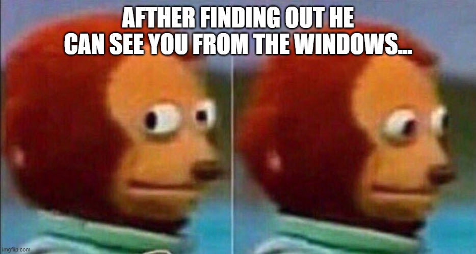 AFTHER FINDING OUT HE CAN SEE YOU FROM THE WINDOWS... | image tagged in monkey looking away | made w/ Imgflip meme maker