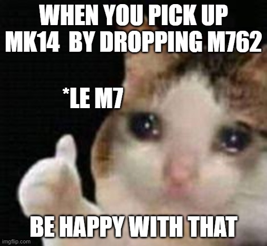 Approved crying cat | WHEN YOU PICK UP MK14  BY DROPPING M762; *LE M7; BE HAPPY WITH THAT | image tagged in approved crying cat | made w/ Imgflip meme maker