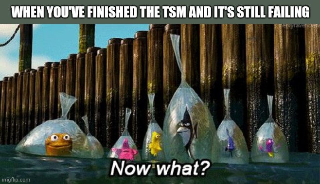 Now what | WHEN YOU'VE FINISHED THE TSM AND IT'S STILL FAILING | image tagged in now what,tma,aircraft,maintenance | made w/ Imgflip meme maker