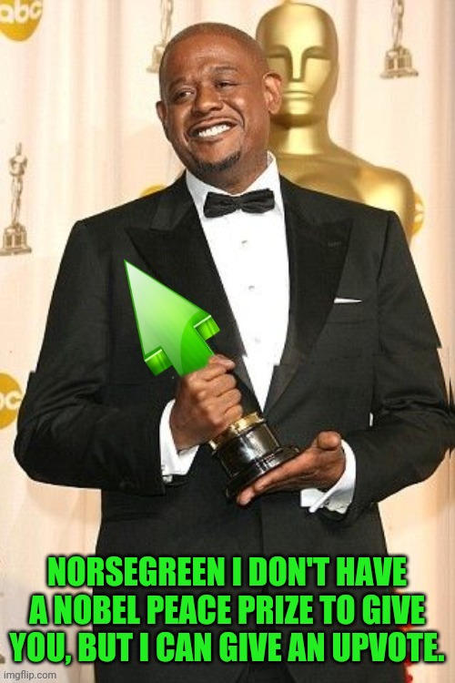 Forest Whitaker Upvote | NORSEGREEN I DON'T HAVE A NOBEL PEACE PRIZE TO GIVE YOU, BUT I CAN GIVE AN UPVOTE. | image tagged in forest whitaker upvote | made w/ Imgflip meme maker