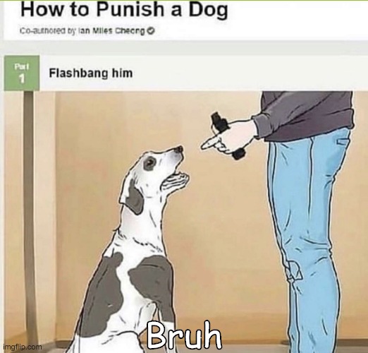 I have several questions about this method | Bruh | image tagged in don't flashbang your dogs | made w/ Imgflip meme maker