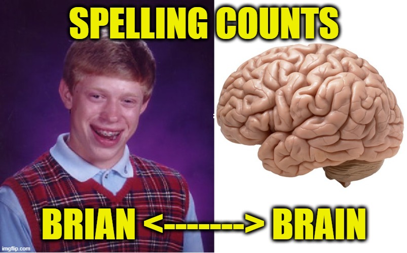 SPELLING COUNTS BRIAN <-------> BRAIN | made w/ Imgflip meme maker