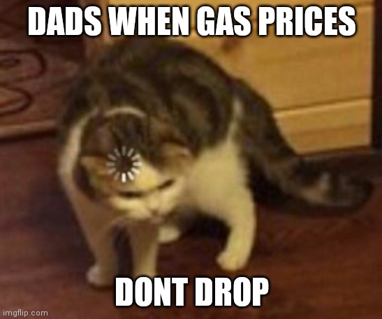 by 1¢ anyways | DADS WHEN GAS PRICES; DONT DROP | image tagged in loading cat | made w/ Imgflip meme maker