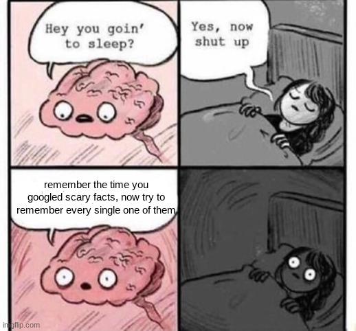 haha hi this is my first post | remember the time you googled scary facts, now try to remember every single one of them | image tagged in sleep,brain | made w/ Imgflip meme maker