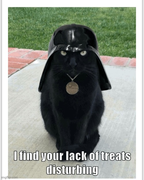Darth Kitty | image tagged in trick or treat,cats | made w/ Imgflip meme maker