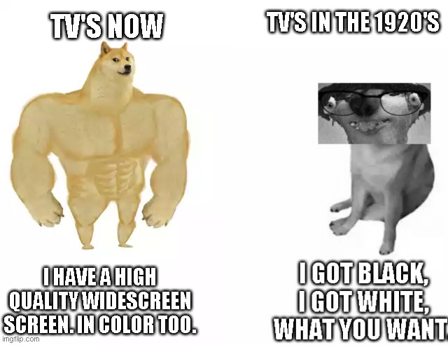 They got black, they got white, what you want. | TV'S IN THE 1920'S; TV'S NOW; I HAVE A HIGH QUALITY WIDESCREEN SCREEN. IN COLOR TOO. | image tagged in buff doge vs cheems,tv,memes | made w/ Imgflip meme maker