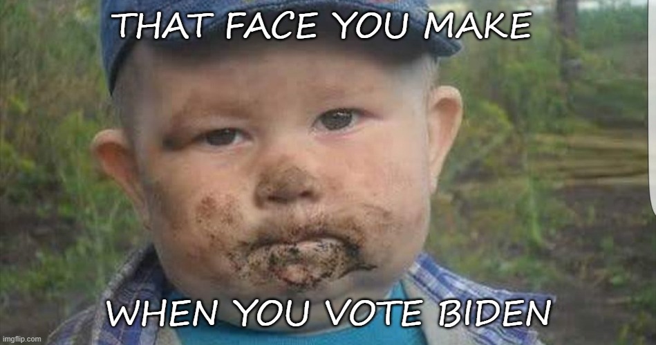 Blue | THAT FACE YOU MAKE; WHEN YOU VOTE BIDEN | image tagged in joe biden,funny,political,2020,trump 2020,political meme | made w/ Imgflip meme maker