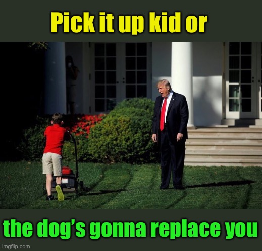 Trump Lawn Mower | Pick it up kid or the dog’s gonna replace you | image tagged in trump lawn mower | made w/ Imgflip meme maker