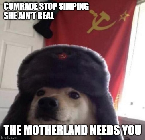 COMRADE STOP SIMPING 
SHE AIN'T REAL; THE MOTHERLAND NEEDS YOU | image tagged in bondage | made w/ Imgflip meme maker