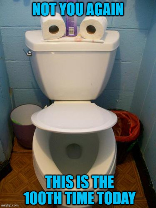 Not you Again |  NOT YOU AGAIN; THIS IS THE 100TH TIME TODAY | image tagged in im a toilet | made w/ Imgflip meme maker