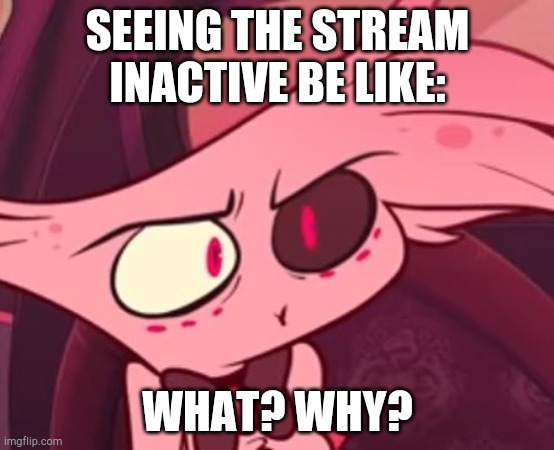 Whyyy? | SEEING THE STREAM INACTIVE BE LIKE:; WHAT? WHY? | image tagged in what,hazbin hotel,memes,funny,angel dust | made w/ Imgflip meme maker