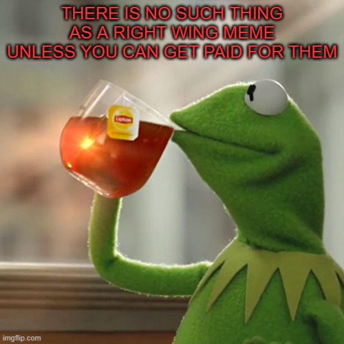 eat a dick ancap | THERE IS NO SUCH THING AS A RIGHT WING MEME UNLESS YOU CAN GET PAID FOR THEM | image tagged in memes,but that's none of my business,kermit the frog,left wing | made w/ Imgflip meme maker