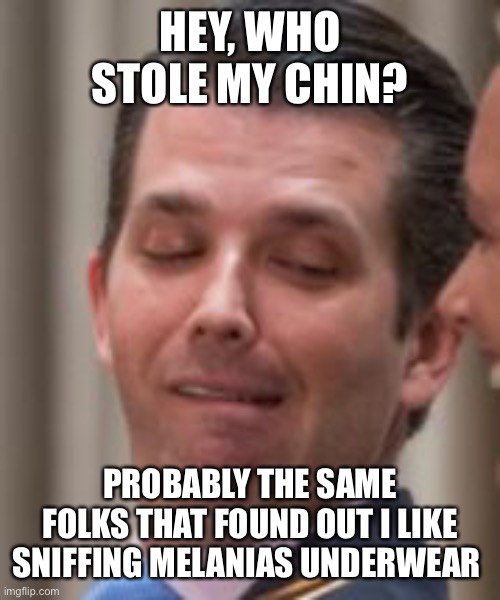 Donald Trump Jr Face | HEY, WHO STOLE MY CHIN? PROBABLY THE SAME FOLKS THAT FOUND OUT I LIKE SNIFFING MELANIAS UNDERWEAR | image tagged in donald trump jr face | made w/ Imgflip meme maker