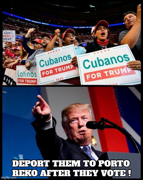 image tagged in latinos,clown car republicans,florida,deport,puerto rico,cuba | made w/ Imgflip meme maker