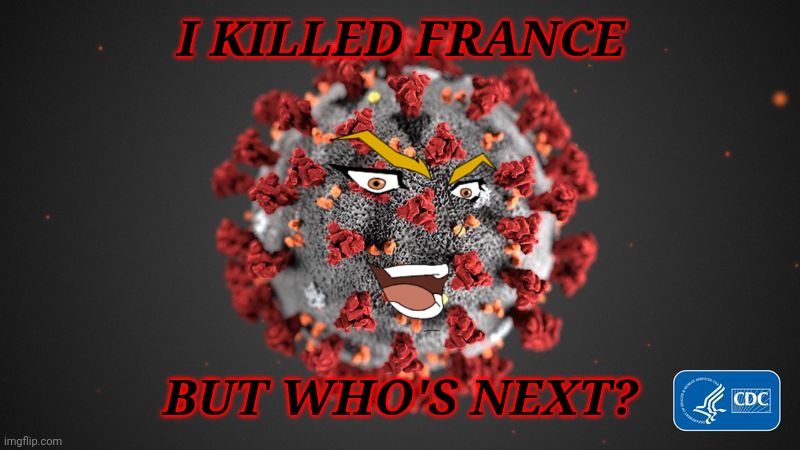 who's next? | I KILLED FRANCE; BUT WHO'S NEXT? | image tagged in covid 19,coronavirus,covid-19,covidiots,memes,france | made w/ Imgflip meme maker