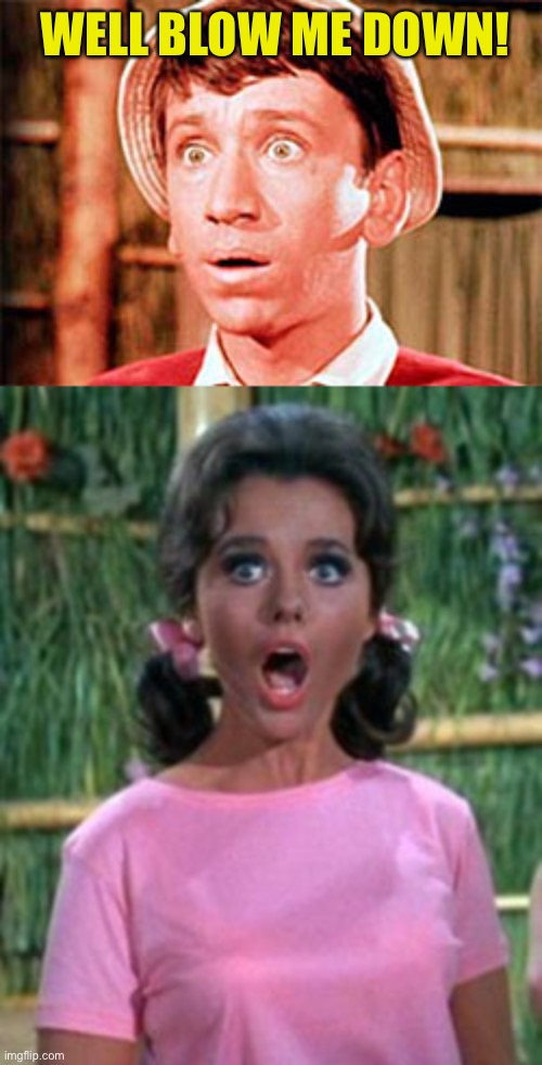WELL BLOW ME DOWN! | image tagged in gilligan | made w/ Imgflip meme maker