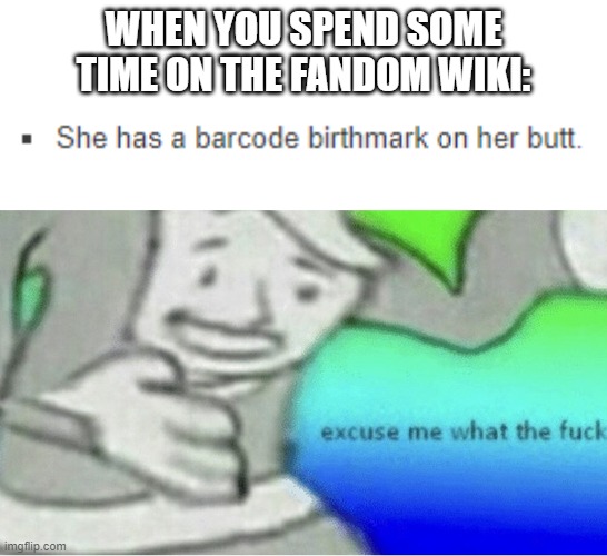 Excuse me wtf blank template | WHEN YOU SPEND SOME TIME ON THE FANDOM WIKI: | image tagged in excuse me wtf blank template | made w/ Imgflip meme maker
