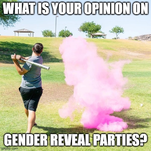 Gender reveal parties | WHAT IS YOUR OPINION ON; GENDER REVEAL PARTIES? | image tagged in gender reveal,memes,funny,opinion,party | made w/ Imgflip meme maker
