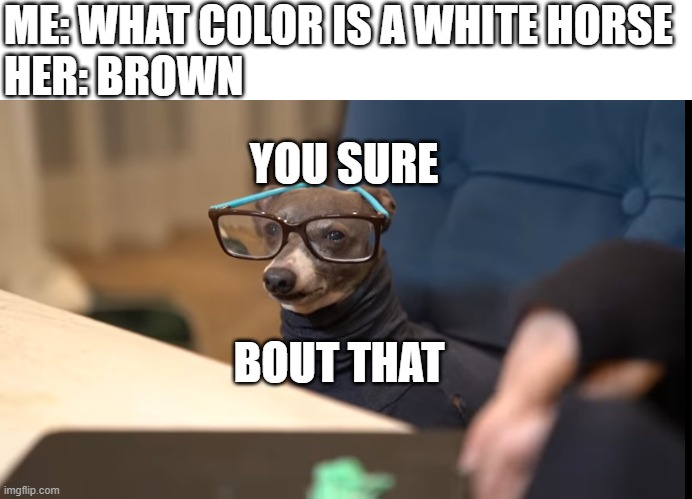 you sure you're right? | ME: WHAT COLOR IS A WHITE HORSE
HER: BROWN; YOU SURE; BOUT THAT | image tagged in an intellectual | made w/ Imgflip meme maker