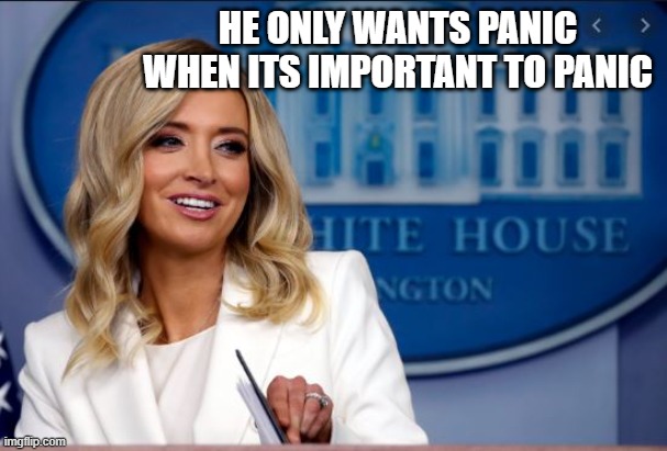 Kayleigh McEnany | HE ONLY WANTS PANIC WHEN ITS IMPORTANT TO PANIC | image tagged in kayleigh mcenany | made w/ Imgflip meme maker