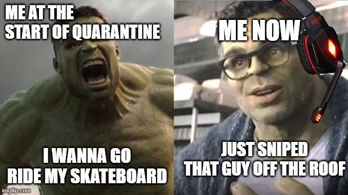 what a true depiction of our fanbase.(this is copyrighted work. you will be sued if you send this to your homies and say it is y | ME AT THE START OF QUARANTINE; ME NOW; JUST SNIPED THAT GUY OFF THE ROOF; I WANNA GO RIDE MY SKATEBOARD | image tagged in brute hulk vs intellectual hulk | made w/ Imgflip meme maker
