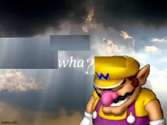 wario wha? | image tagged in wario wha | made w/ Imgflip meme maker