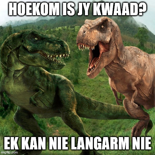 Langarm | HOEKOM IS JY KWAAD? EK KAN NIE LANGARM NIE | image tagged in dance | made w/ Imgflip meme maker