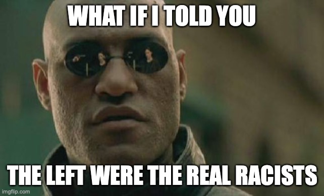 Who really introduced race into modern politics? | WHAT IF I TOLD YOU; THE LEFT WERE THE REAL RACISTS | image tagged in memes,matrix morpheus | made w/ Imgflip meme maker