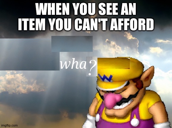 Wario wha? | WHEN YOU SEE AN ITEM YOU CAN'T AFFORD | image tagged in wario wha | made w/ Imgflip meme maker