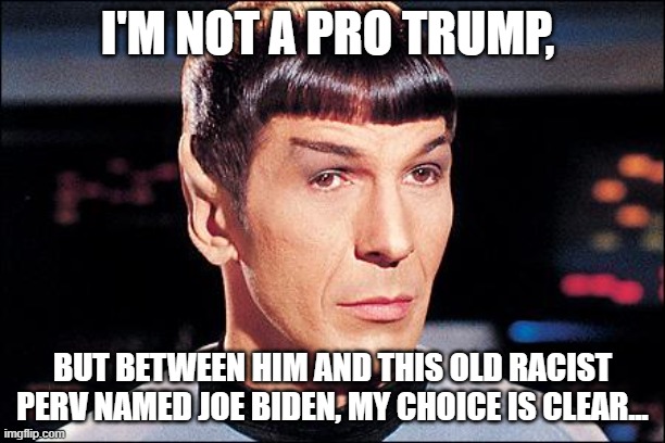 My point of view brought to you by Spock | I'M NOT A PRO TRUMP, BUT BETWEEN HIM AND THIS OLD RACIST PERV NAMED JOE BIDEN, MY CHOICE IS CLEAR... | image tagged in condescending spock,2020 elections,joe biden,donald trump | made w/ Imgflip meme maker