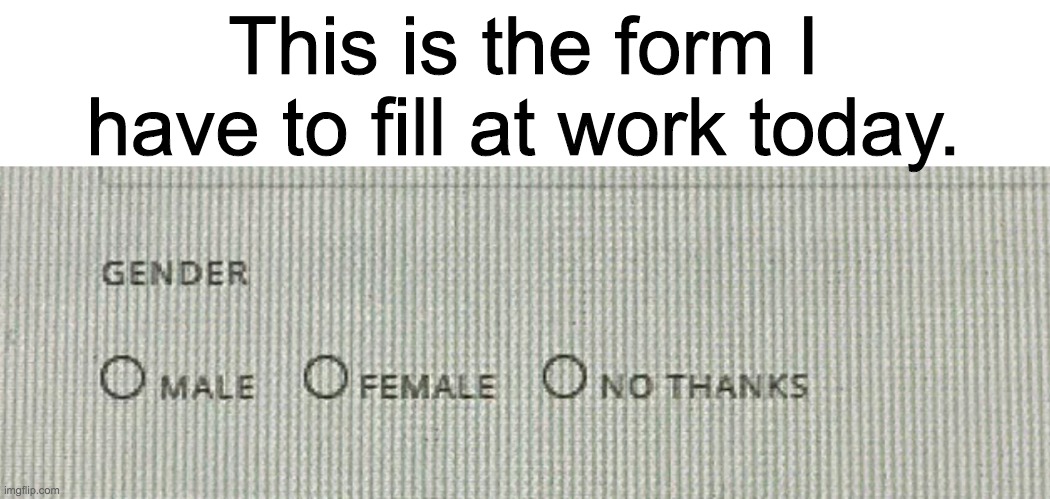 I identify as "no thanks" | This is the form I have to fill at work today. | image tagged in there are obviously only 3 gender,male,female,and no thanks | made w/ Imgflip meme maker