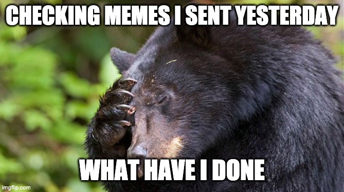 yao, what have you done! bear | CHECKING MEMES I SENT YESTERDAY; WHAT HAVE I DONE | image tagged in yao what have you done bear | made w/ Imgflip meme maker