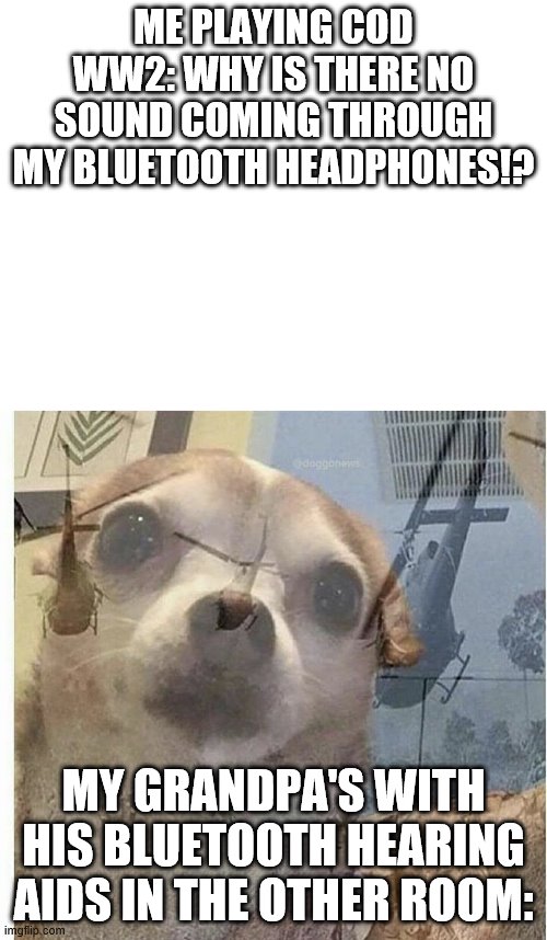 Poor gramps | ME PLAYING COD WW2: WHY IS THERE NO SOUND COMING THROUGH MY BLUETOOTH HEADPHONES!? MY GRANDPA'S WITH HIS BLUETOOTH HEARING AIDS IN THE OTHER ROOM: | image tagged in blank white template,ptsd chihuahua | made w/ Imgflip meme maker