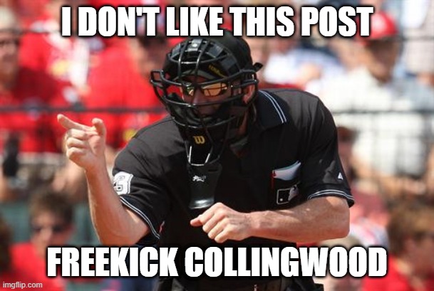 Umpire | I DON'T LIKE THIS POST; FREEKICK COLLINGWOOD | image tagged in umpire,afl,sports,memes,sport memes,football | made w/ Imgflip meme maker