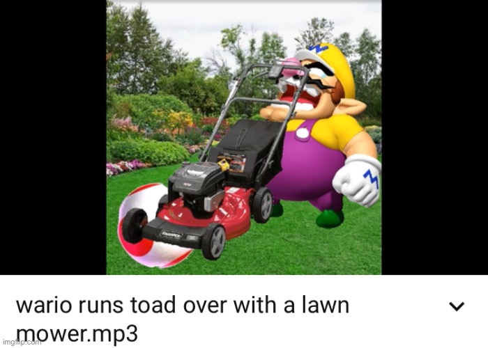 Fun e gory  death :) | image tagged in memes,funny,gore,wario,toad,lawnmower | made w/ Imgflip meme maker