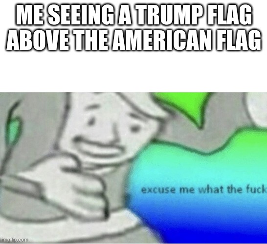 Excuse me wtf blank template | ME SEEING A TRUMP FLAG ABOVE THE AMERICAN FLAG | image tagged in excuse me wtf blank template | made w/ Imgflip meme maker