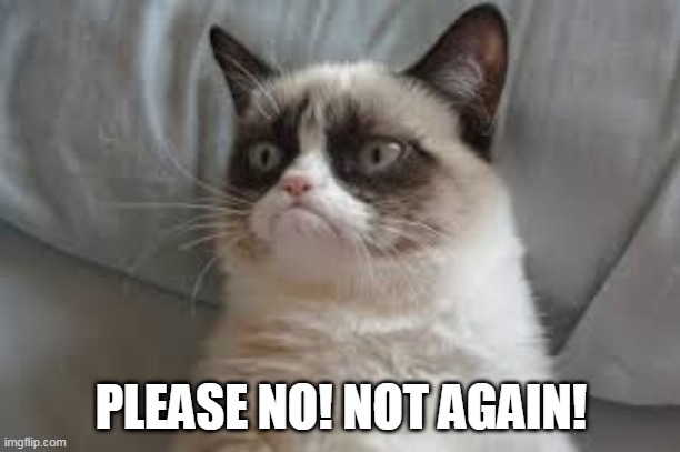 Grumpy cat | PLEASE NO! NOT AGAIN! | image tagged in grumpy cat | made w/ Imgflip meme maker