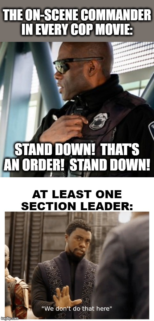 THE ON-SCENE COMMANDER IN EVERY COP MOVIE:; STAND DOWN!  THAT'S AN ORDER!  STAND DOWN! AT LEAST ONE SECTION LEADER: | image tagged in we don't do that here,memes,cop movies,stand down | made w/ Imgflip meme maker