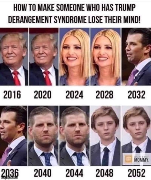 Introducing the Trump dynasty! >;) | image tagged in memes,trump,tds,dynasty,stupid liberals,president | made w/ Imgflip meme maker