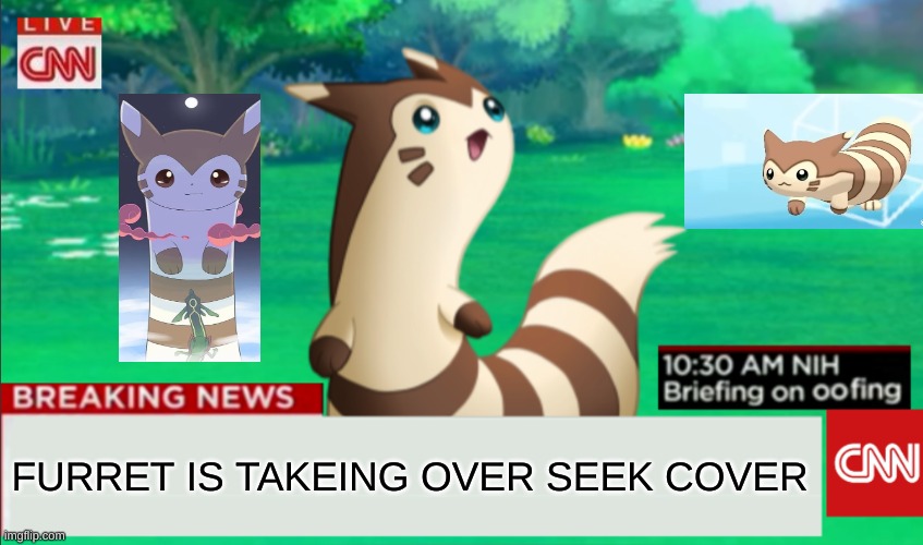 RUN | FURRET IS TAKEING OVER SEEK COVER | image tagged in breaking news furret,oh no you didn't | made w/ Imgflip meme maker