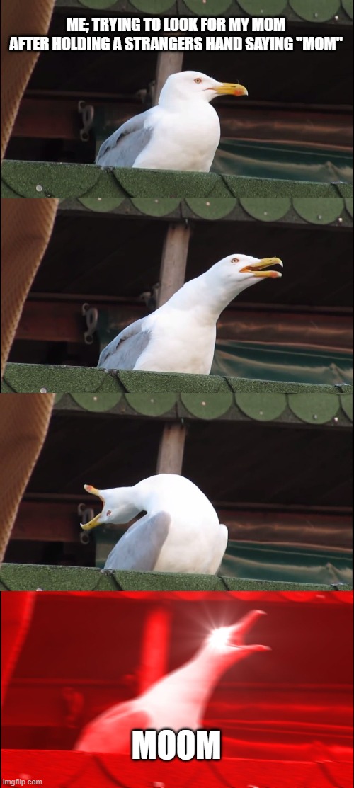 Inhaling Seagull | ME; TRYING TO LOOK FOR MY MOM AFTER HOLDING A STRANGERS HAND SAYING "MOM"; MOOM | image tagged in memes,inhaling seagull | made w/ Imgflip meme maker