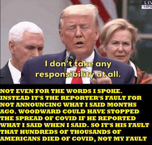 Trump blames woodward Blank Meme Template