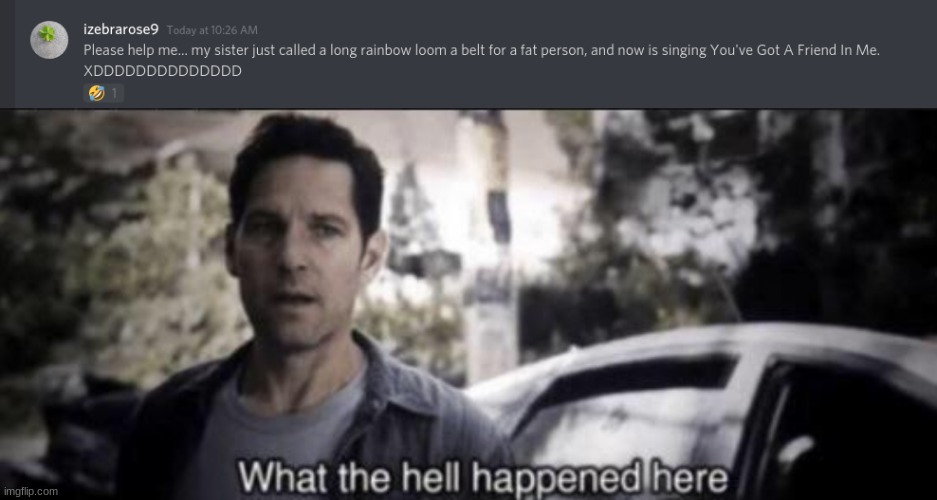 I beg thee pardon? | image tagged in what the hell happened here,memes,cursed comments,discord,izebrarose9,i beg thee pardon | made w/ Imgflip meme maker
