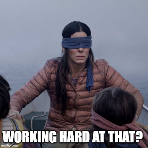 Bird Box Meme | WORKING HARD AT THAT? | image tagged in memes,bird box | made w/ Imgflip meme maker