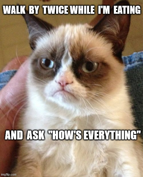 Grumpy Cat Meme | WALK  BY  TWICE WHILE  I'M  EATING; AND  ASK  "HOW'S EVERYTHING" | image tagged in memes,grumpy cat | made w/ Imgflip meme maker