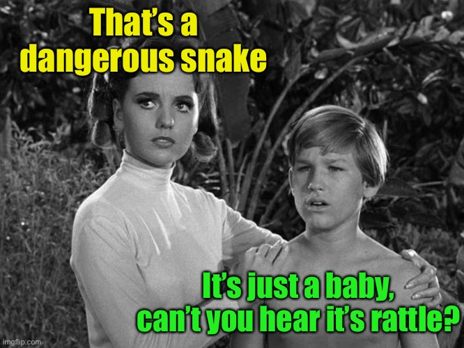 Rattle snakes | That’s a dangerous snake; It’s just a baby, can’t you hear it’s rattle? | image tagged in help us snake | made w/ Imgflip meme maker