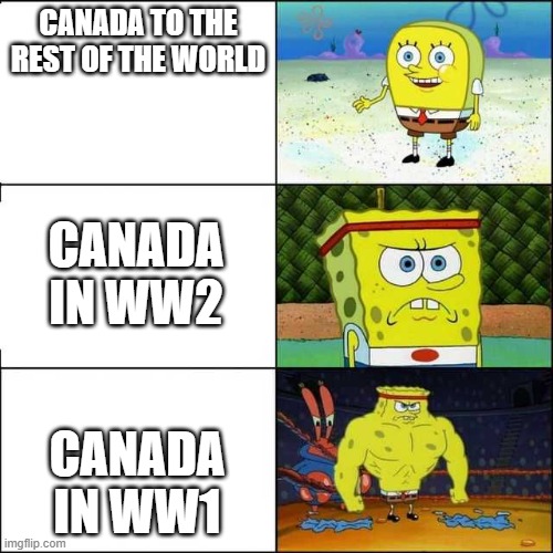 canada | CANADA TO THE REST OF THE WORLD; CANADA IN WW2; CANADA IN WW1 | image tagged in canadians | made w/ Imgflip meme maker